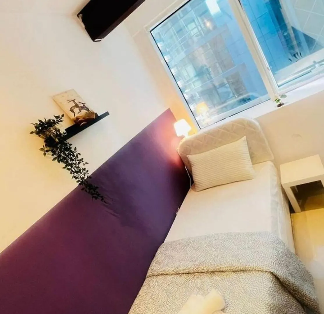 Ideal Partition Room In Barsha 1 Near Metro Dubai United Arab Emirates
